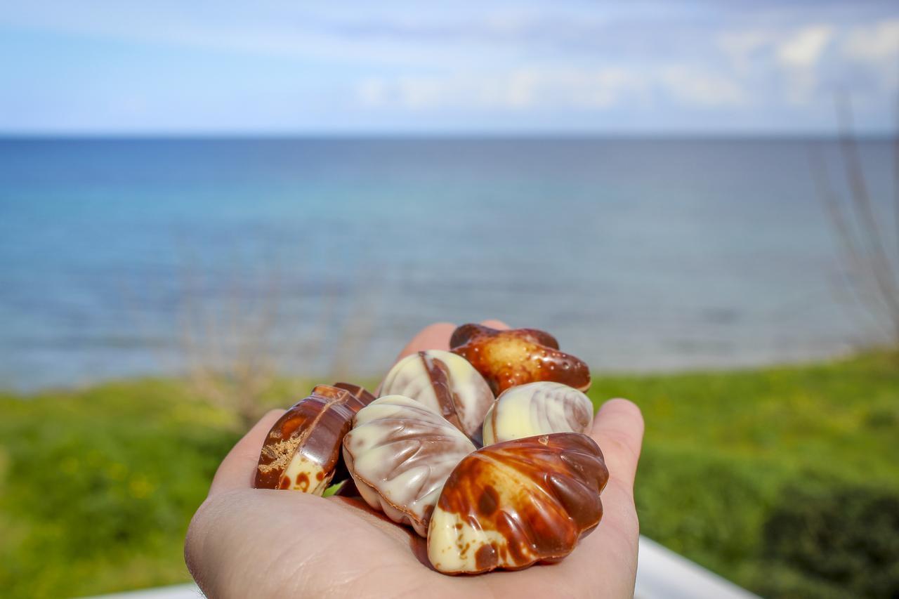 Pelagion Ii Sea Coral - Beachfront * Kypseli